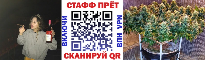 Где купить Рошаль КОКАИН  Меф  НБОМе  ГАШИШ 