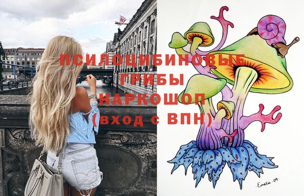 дмт Осинники