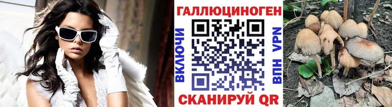 мориарти состав  Рошаль  Псилоцибиновые грибы GOLDEN TEACHER 